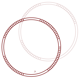 Bangles & Bracelets Image